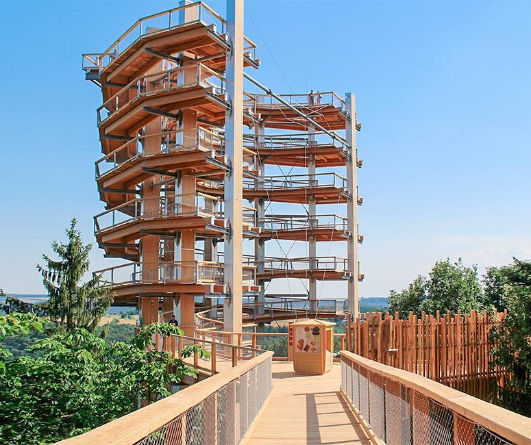 Holzbau Dengler GmbH - Baumwipfelpfad