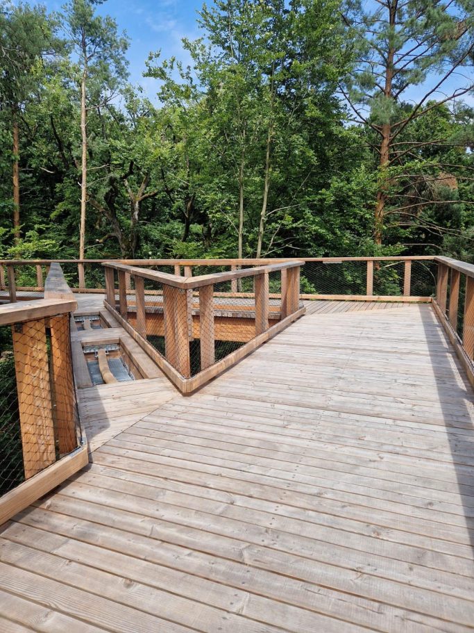 Holzbau Dengler GmbH - Baumwipfelpfad Lipno